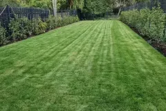 34bf0d_3e025c67a3db4ff88b9e924990c18536mv2