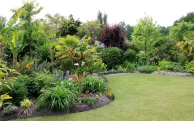 Nouveau site Internet