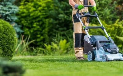 Tonte de gazon à Woippy : fréquences et astuces pour une pelouse verte et dense