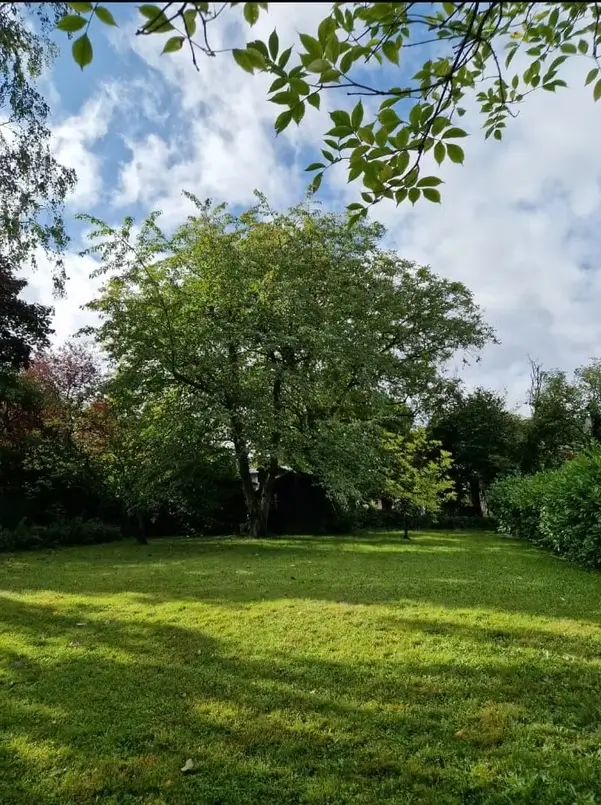 ea5f45_9a9e0b89576d496b920088a38eba269d~mv2